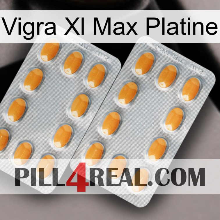 Vigra Xl Max Platinum cialis4